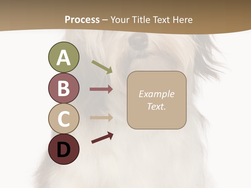 A White And Brown Dog Sitting On Top Of A White Floor PowerPoint Template