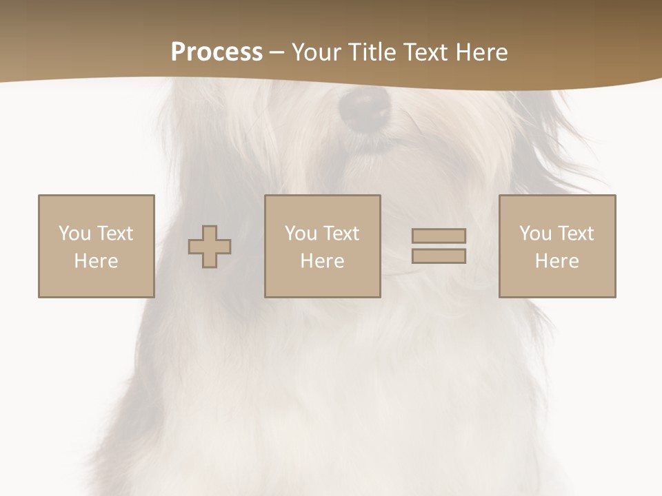 A White And Brown Dog Sitting On Top Of A White Floor PowerPoint Template