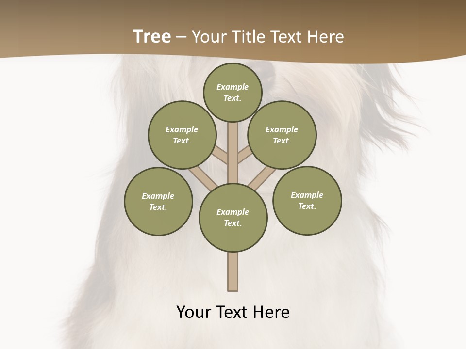 A White And Brown Dog Sitting On Top Of A White Floor PowerPoint Template