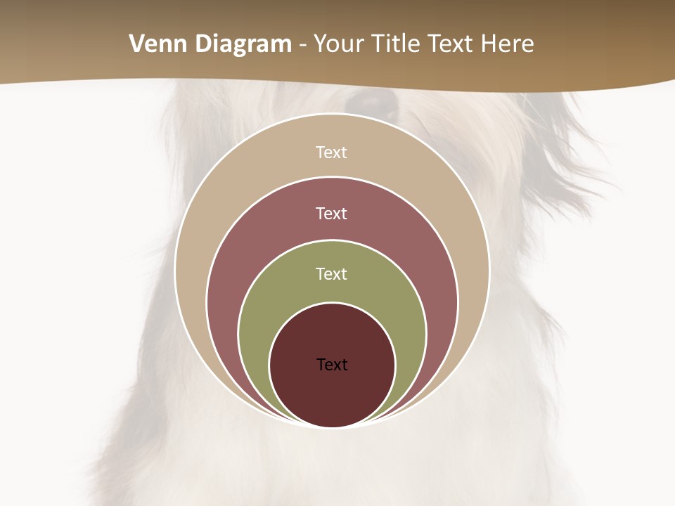 A White And Brown Dog Sitting On Top Of A White Floor PowerPoint Template