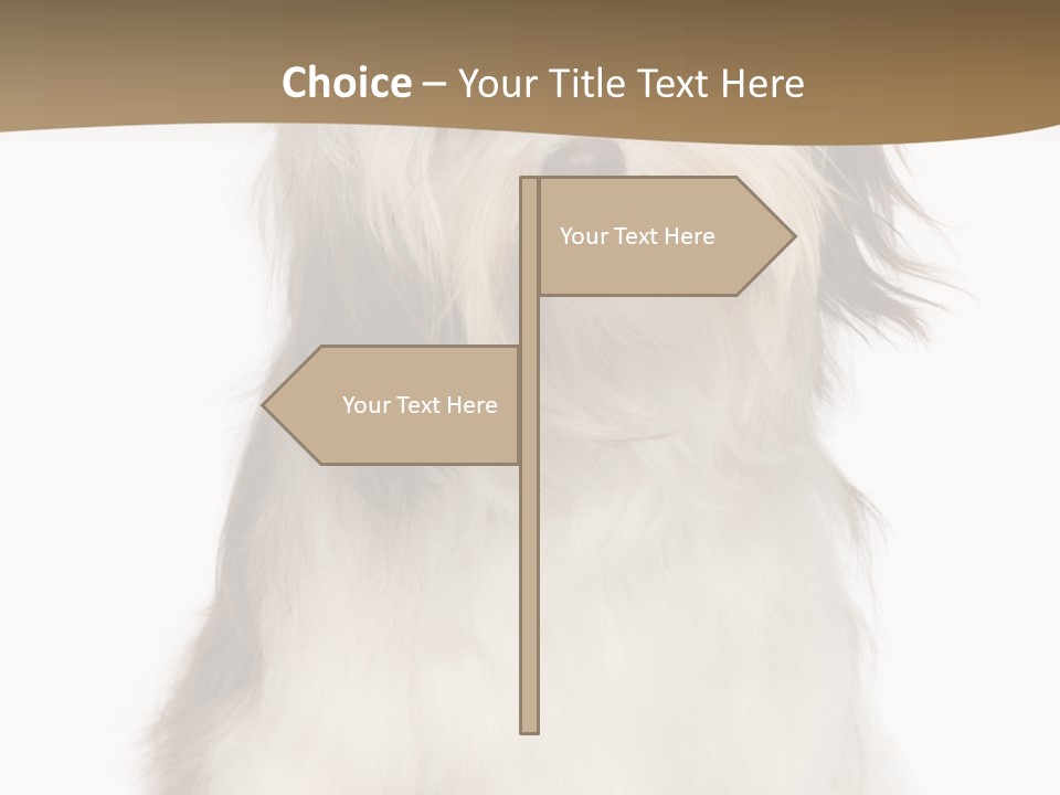 A White And Brown Dog Sitting On Top Of A White Floor PowerPoint Template