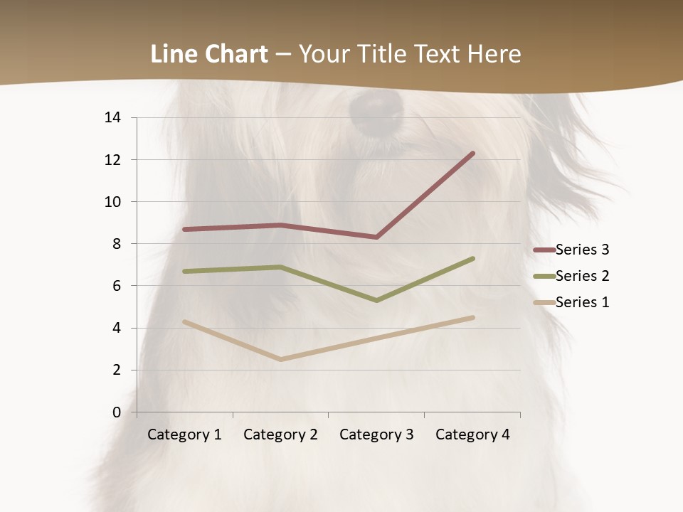 A White And Brown Dog Sitting On Top Of A White Floor PowerPoint Template