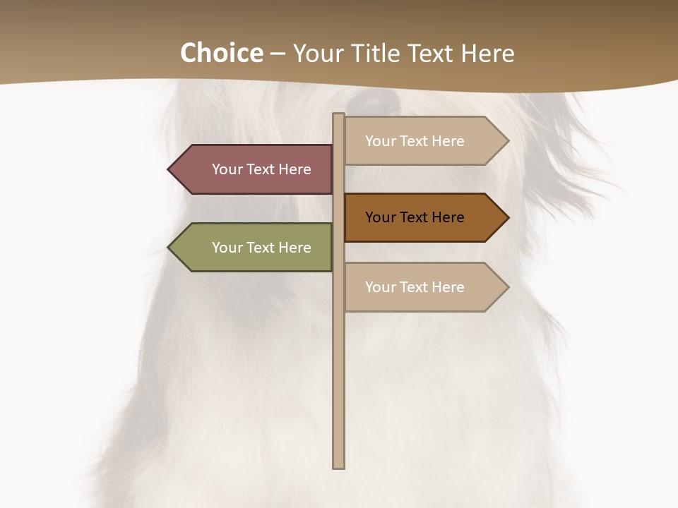 A White And Brown Dog Sitting On Top Of A White Floor PowerPoint Template