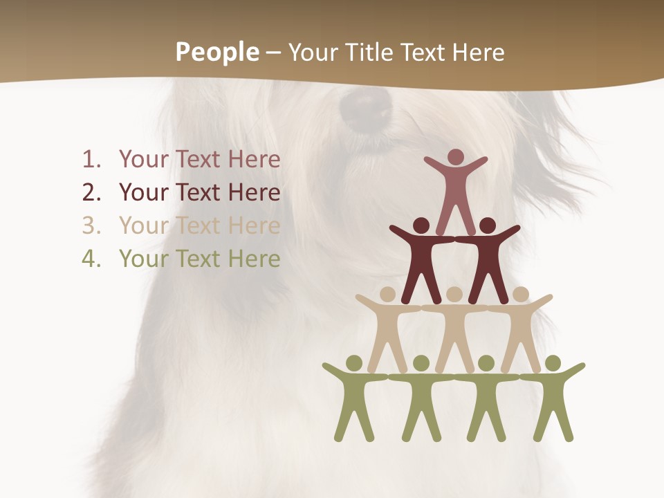 A White And Brown Dog Sitting On Top Of A White Floor PowerPoint Template