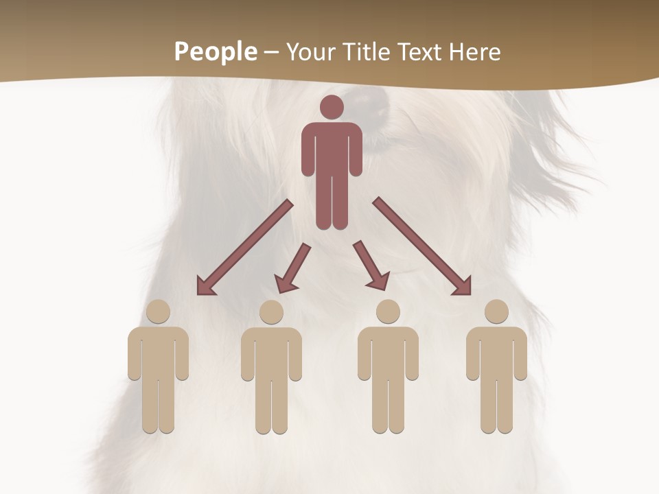 A White And Brown Dog Sitting On Top Of A White Floor PowerPoint Template