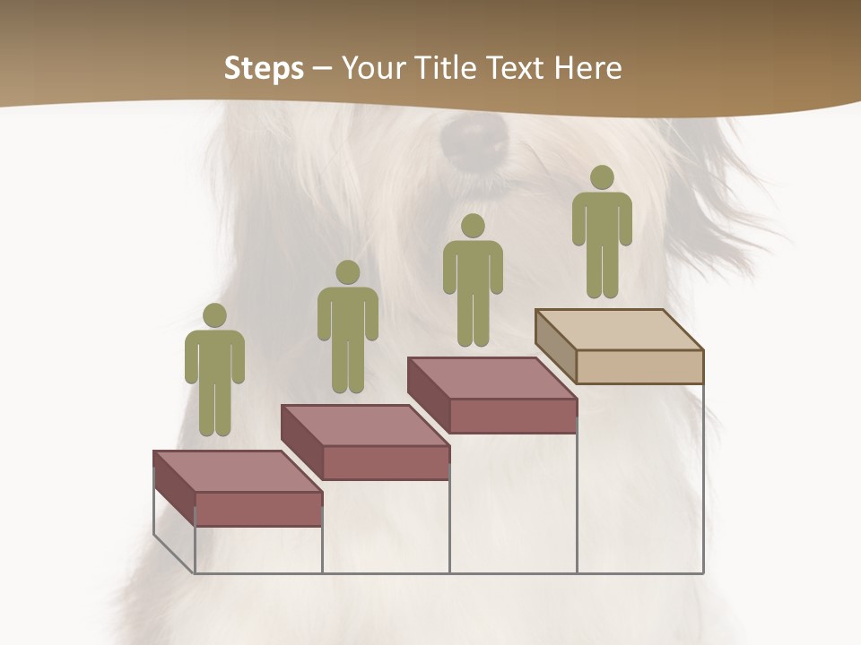 A White And Brown Dog Sitting On Top Of A White Floor PowerPoint Template