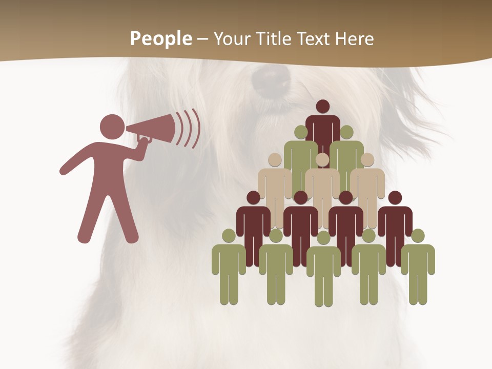 A White And Brown Dog Sitting On Top Of A White Floor PowerPoint Template