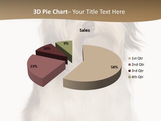 A White And Brown Dog Sitting On Top Of A White Floor PowerPoint Template