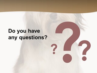 A White And Brown Dog Sitting On Top Of A White Floor PowerPoint Template
