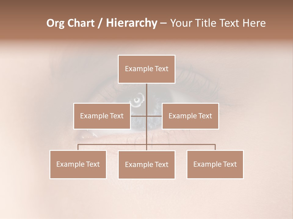 Series Collection Baby PowerPoint Template