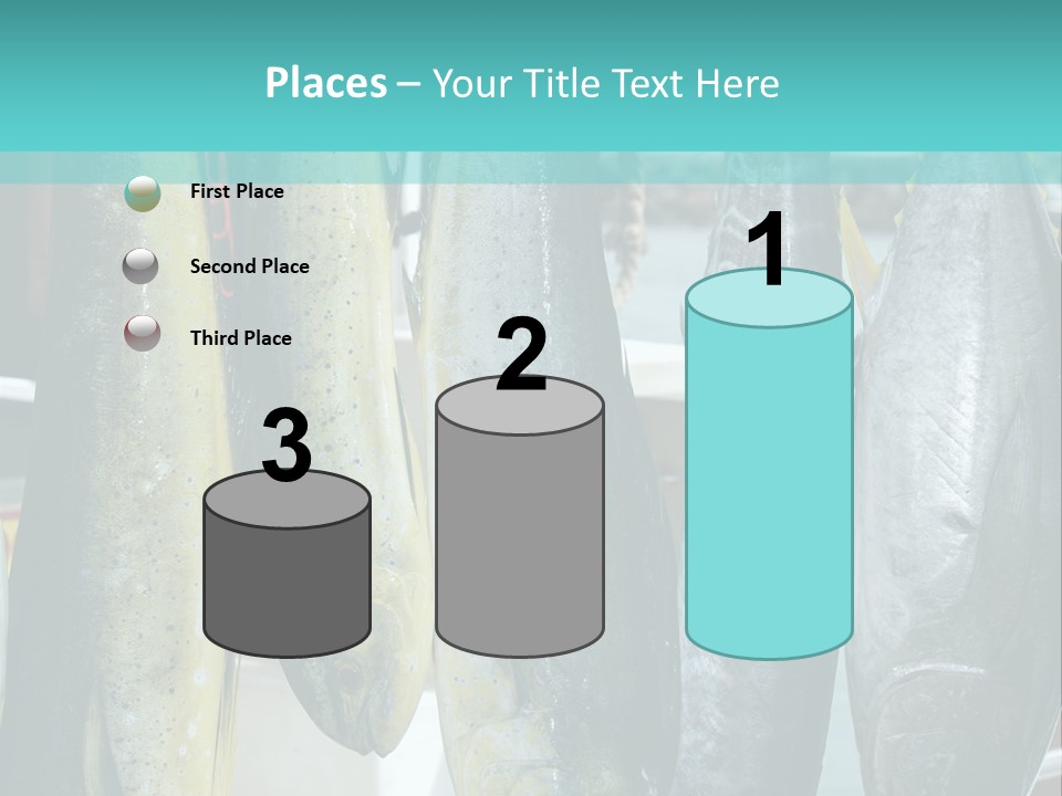 Rainbow Yellowtail Elagatis Bipinnulata Pelagic PowerPoint Template