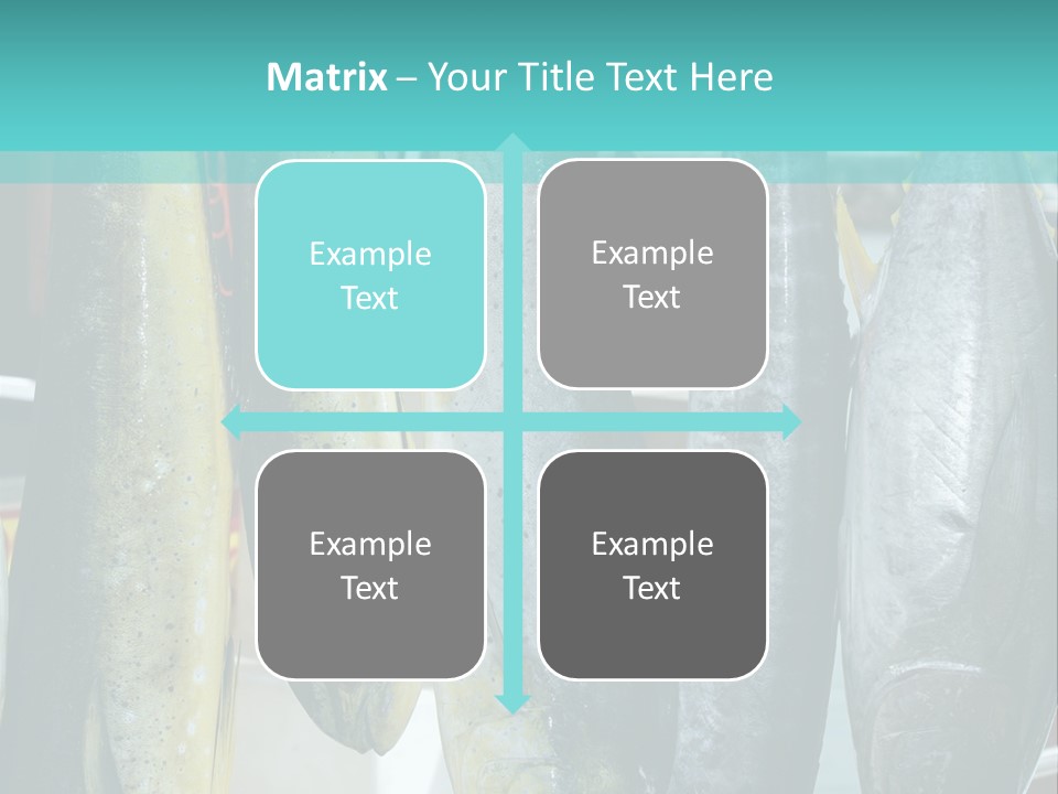 Rainbow Yellowtail Elagatis Bipinnulata Pelagic PowerPoint Template