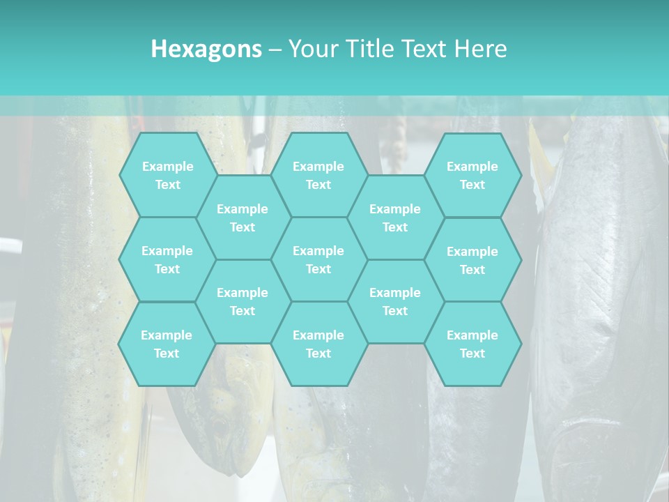 Rainbow Yellowtail Elagatis Bipinnulata Pelagic PowerPoint Template