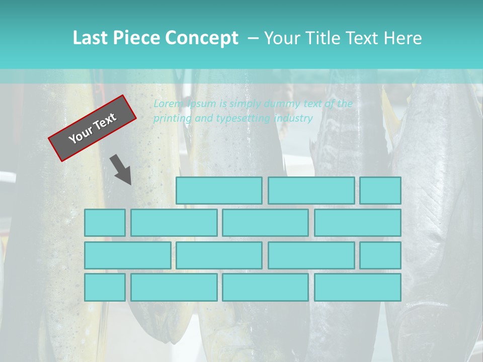 Rainbow Yellowtail Elagatis Bipinnulata Pelagic PowerPoint Template