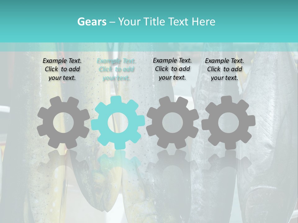 Rainbow Yellowtail Elagatis Bipinnulata Pelagic PowerPoint Template