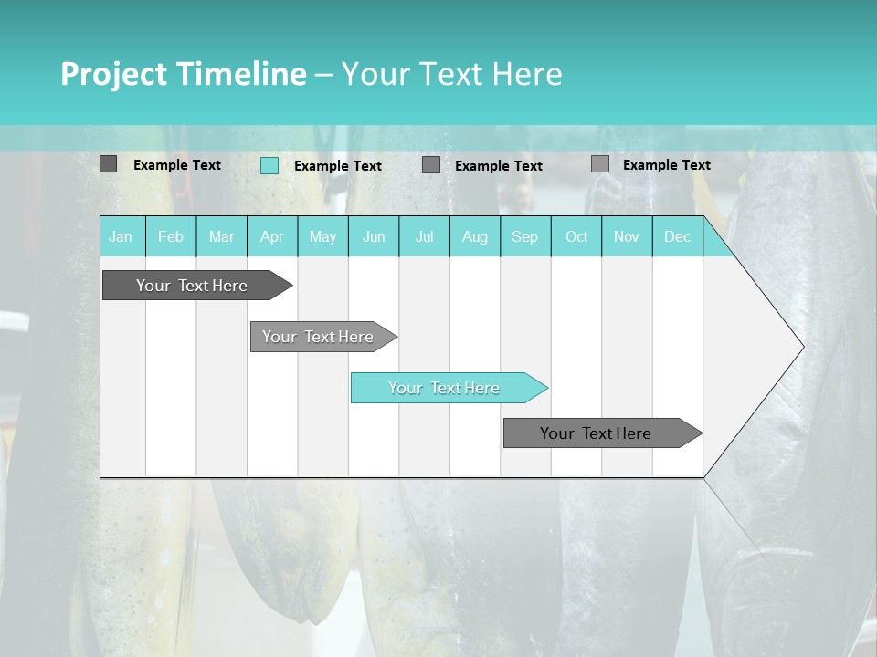 Rainbow Yellowtail Elagatis Bipinnulata Pelagic PowerPoint Template