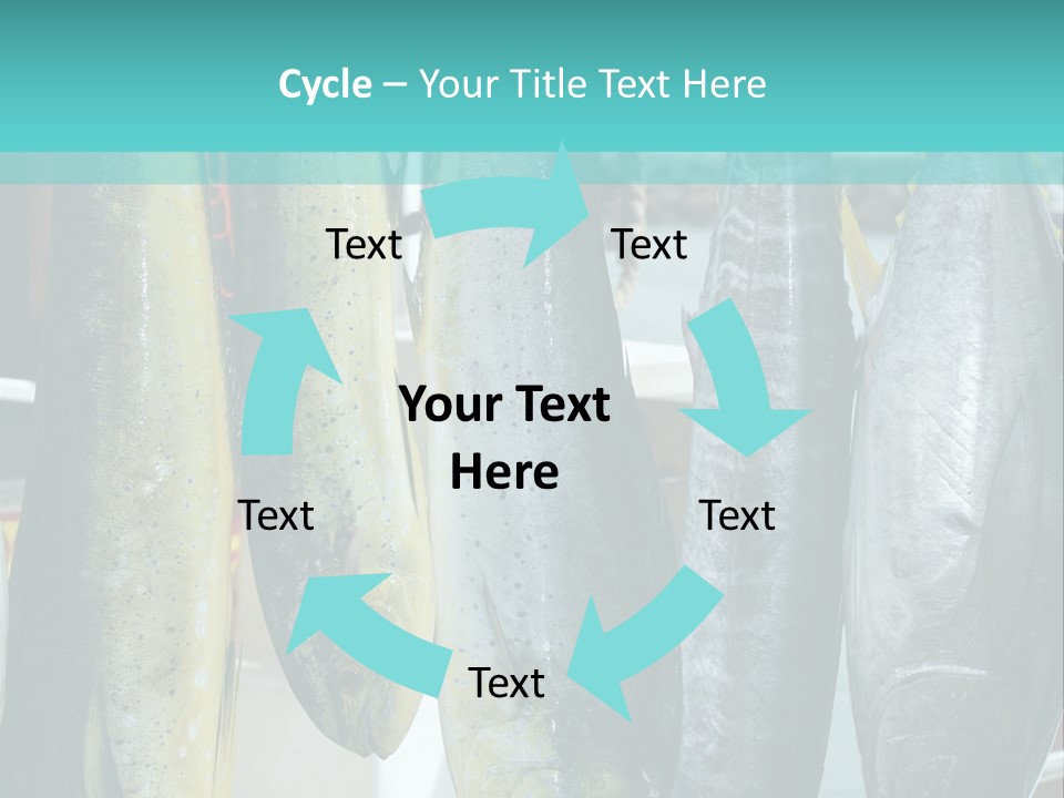 Rainbow Yellowtail Elagatis Bipinnulata Pelagic PowerPoint Template