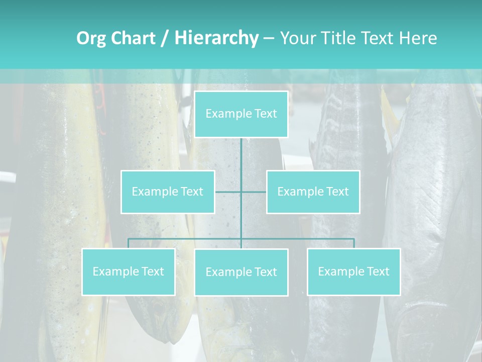 Rainbow Yellowtail Elagatis Bipinnulata Pelagic PowerPoint Template