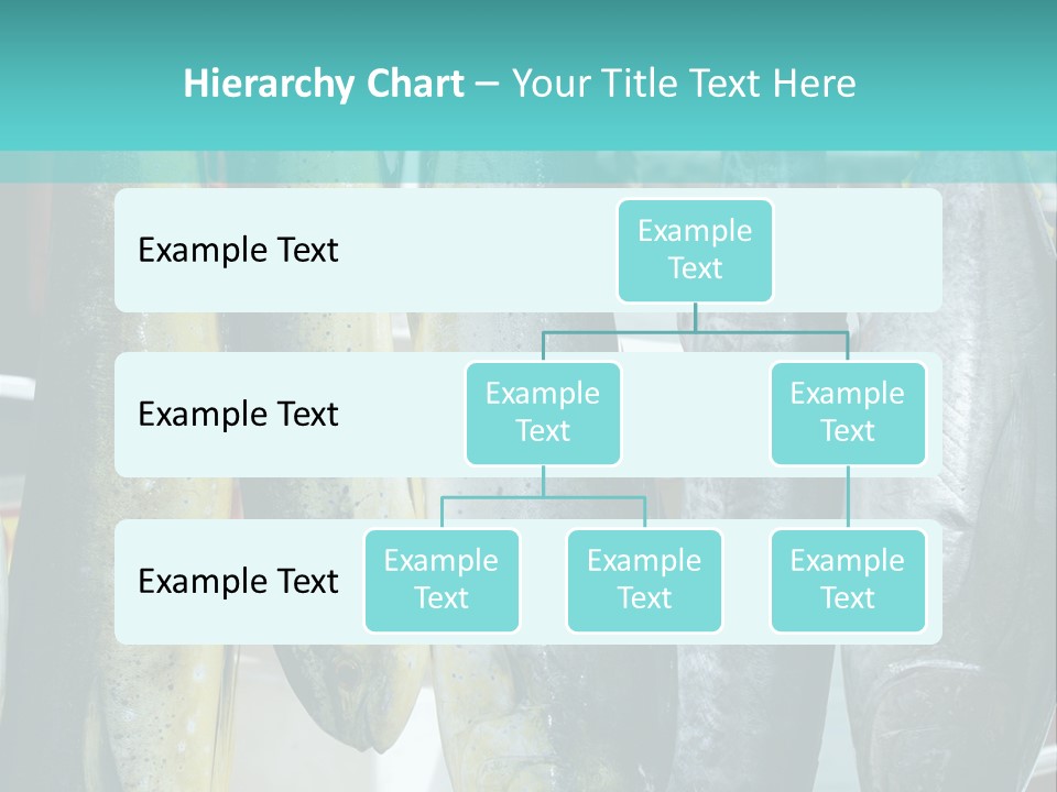 Rainbow Yellowtail Elagatis Bipinnulata Pelagic PowerPoint Template
