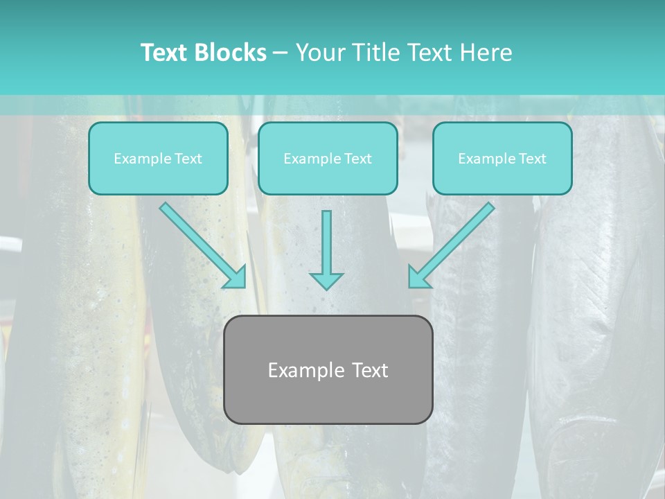 Rainbow Yellowtail Elagatis Bipinnulata Pelagic PowerPoint Template