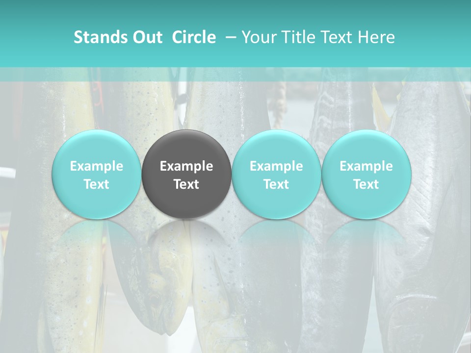 Rainbow Yellowtail Elagatis Bipinnulata Pelagic PowerPoint Template