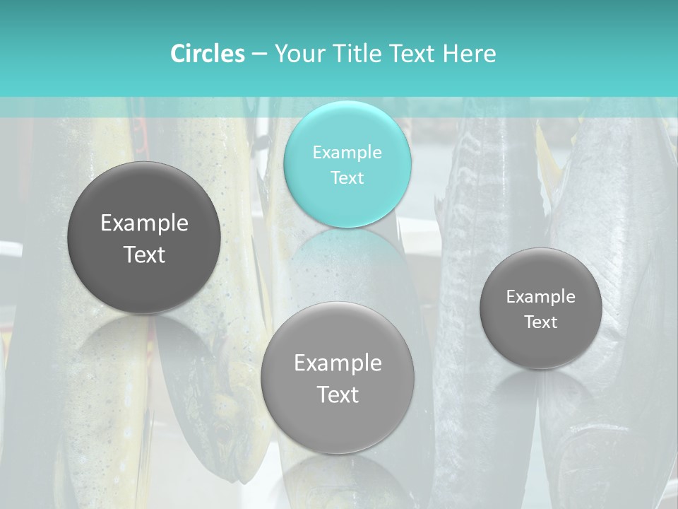 Rainbow Yellowtail Elagatis Bipinnulata Pelagic PowerPoint Template