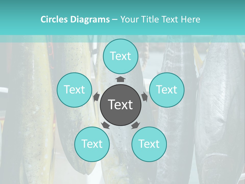 Rainbow Yellowtail Elagatis Bipinnulata Pelagic PowerPoint Template