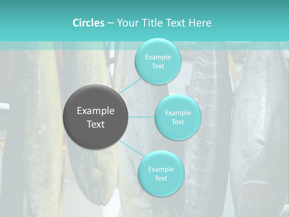 Rainbow Yellowtail Elagatis Bipinnulata Pelagic PowerPoint Template