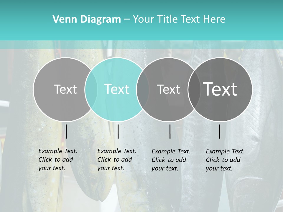 Rainbow Yellowtail Elagatis Bipinnulata Pelagic PowerPoint Template