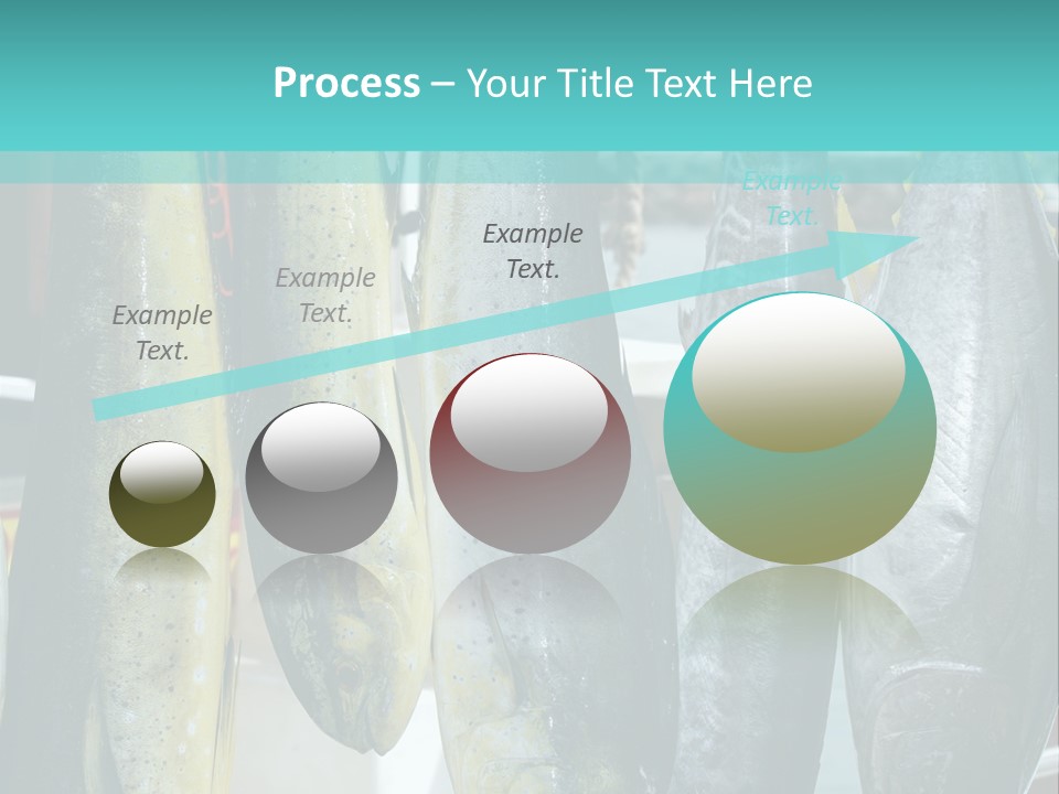 Rainbow Yellowtail Elagatis Bipinnulata Pelagic PowerPoint Template