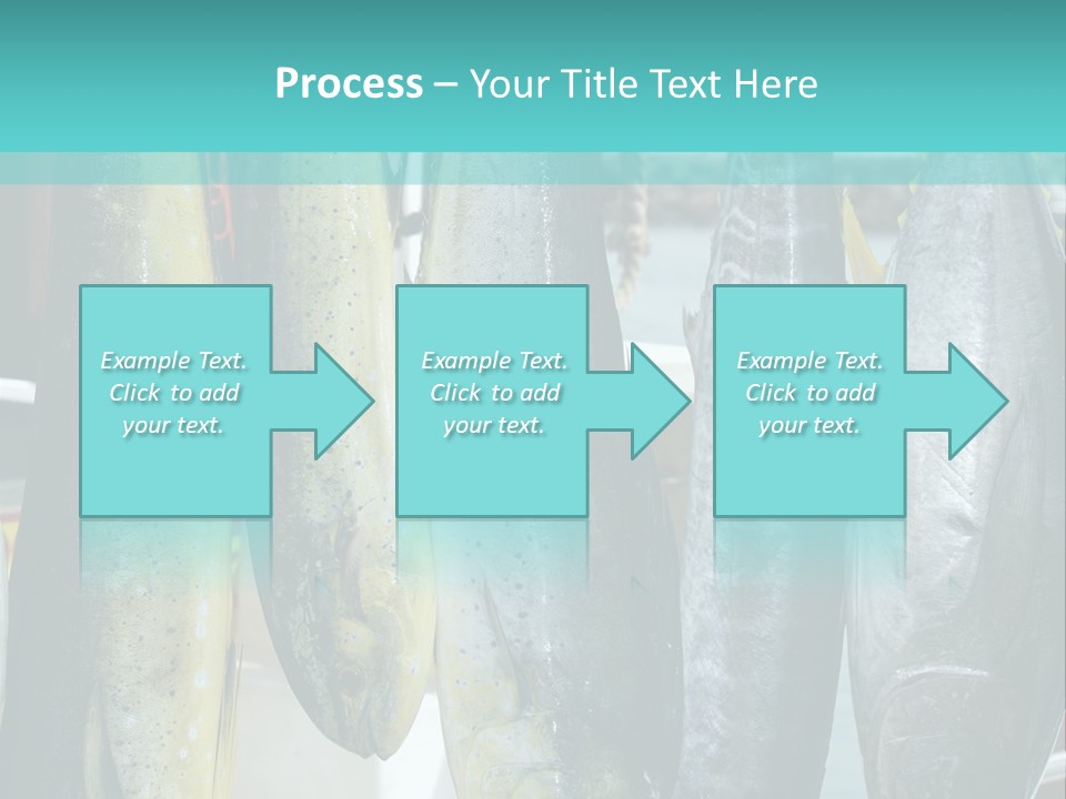 Rainbow Yellowtail Elagatis Bipinnulata Pelagic PowerPoint Template