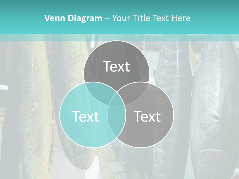 Rainbow Yellowtail Elagatis Bipinnulata Pelagic PowerPoint Template