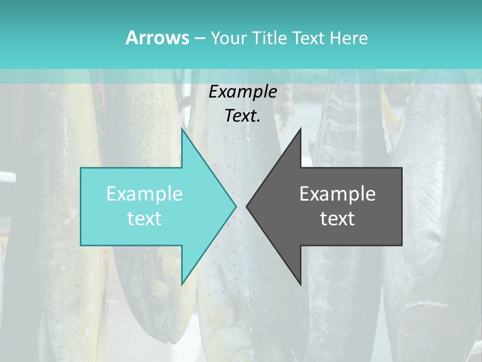 Rainbow Yellowtail Elagatis Bipinnulata Pelagic PowerPoint Template