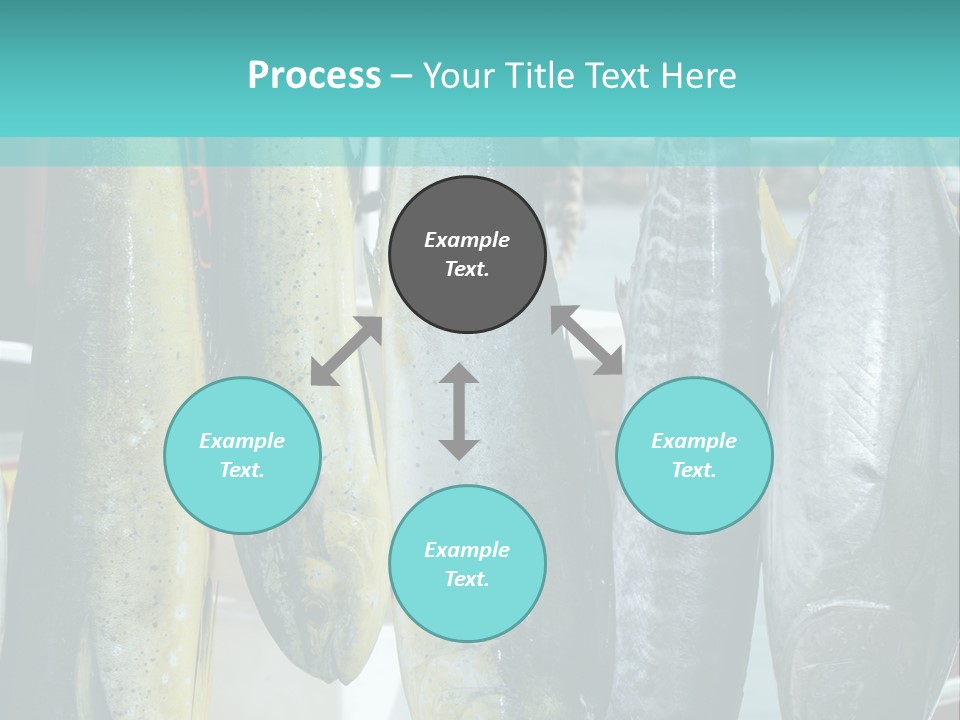 Rainbow Yellowtail Elagatis Bipinnulata Pelagic PowerPoint Template