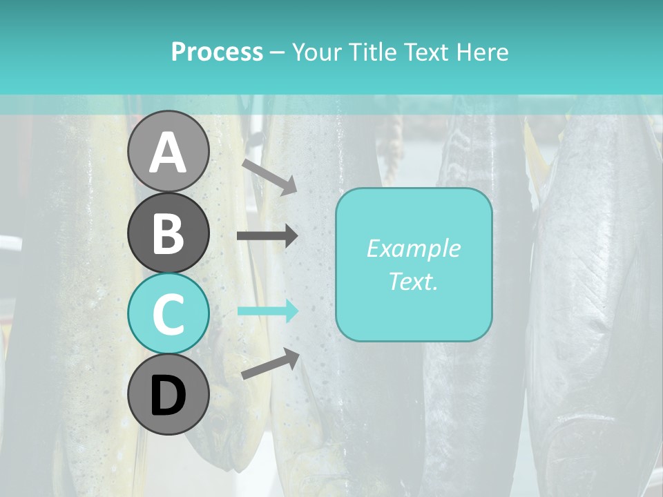 Rainbow Yellowtail Elagatis Bipinnulata Pelagic PowerPoint Template