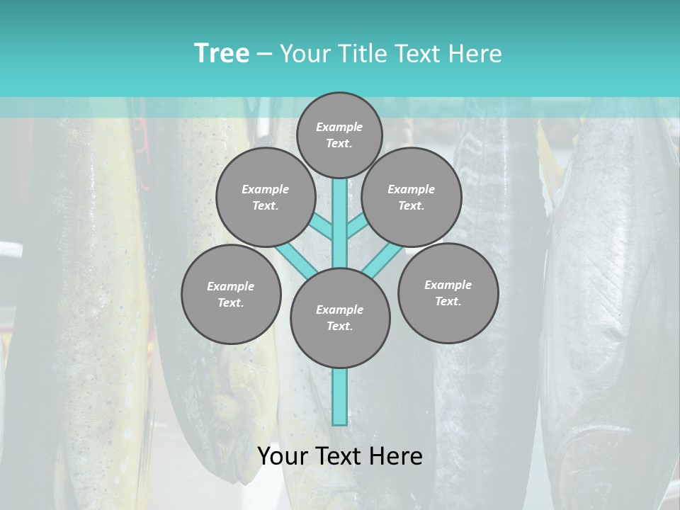 Rainbow Yellowtail Elagatis Bipinnulata Pelagic PowerPoint Template