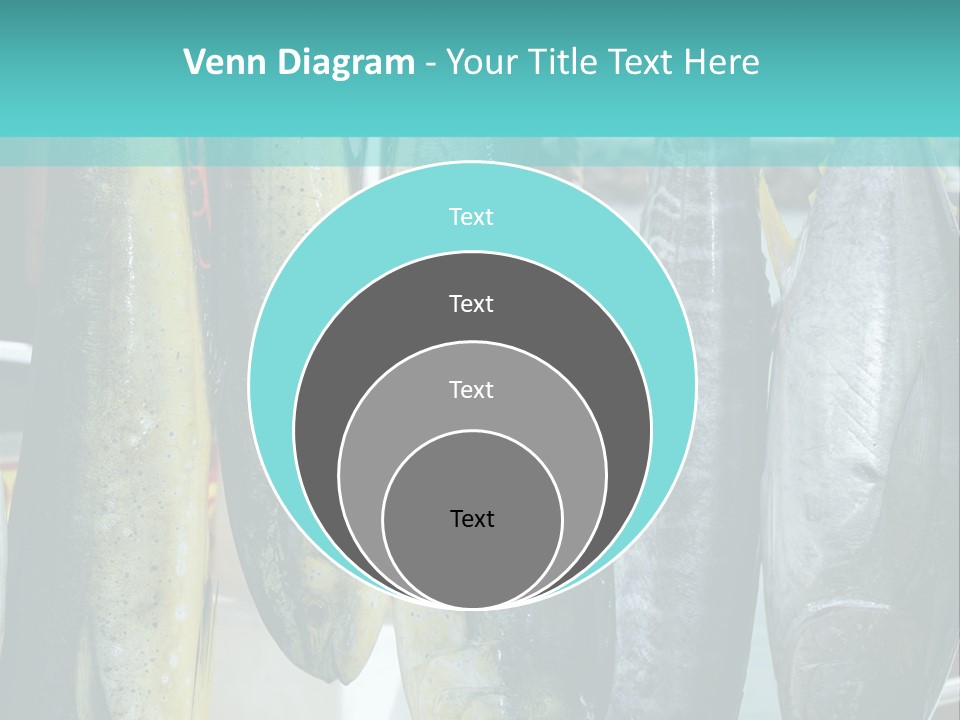 Rainbow Yellowtail Elagatis Bipinnulata Pelagic PowerPoint Template