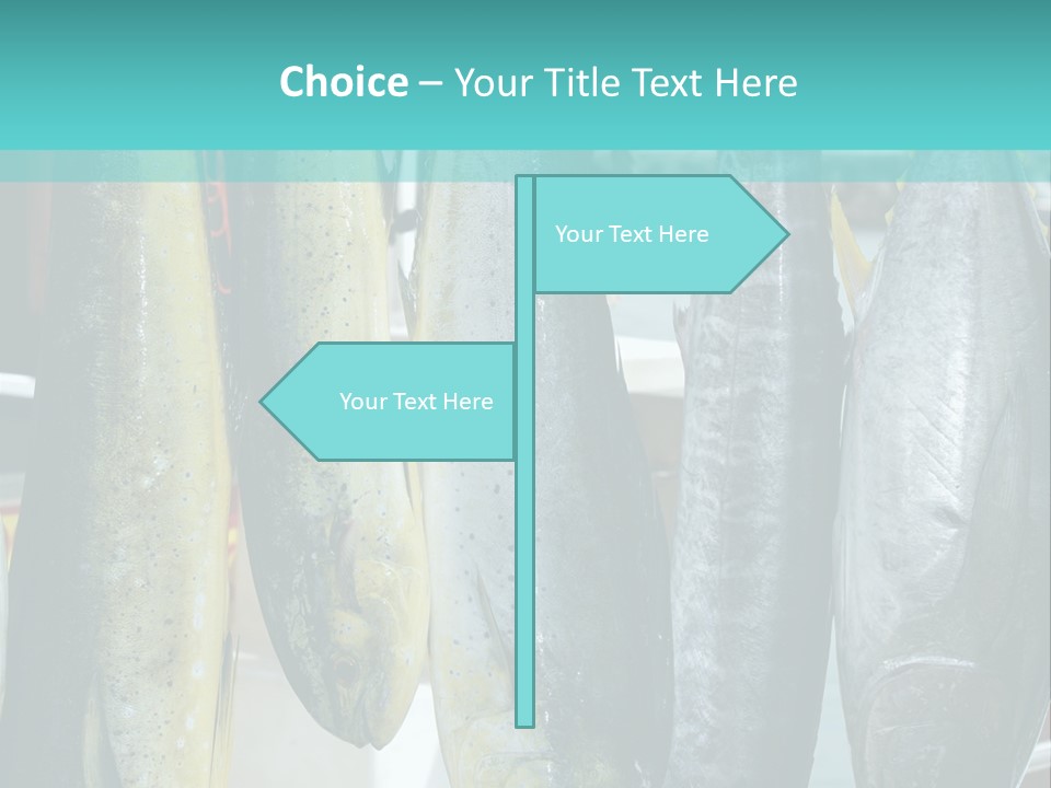 Rainbow Yellowtail Elagatis Bipinnulata Pelagic PowerPoint Template