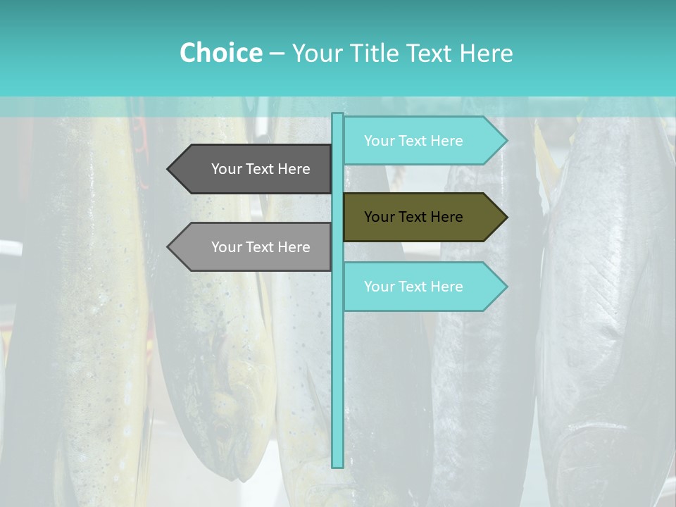 Rainbow Yellowtail Elagatis Bipinnulata Pelagic PowerPoint Template
