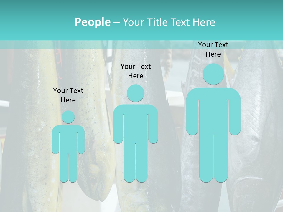 Rainbow Yellowtail Elagatis Bipinnulata Pelagic PowerPoint Template