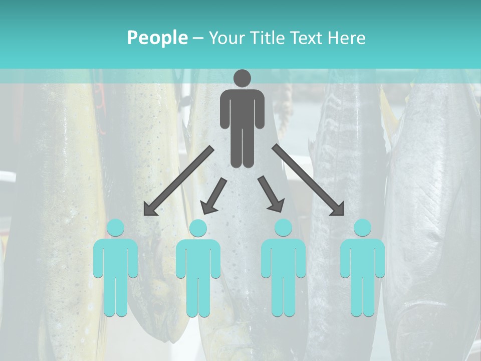 Rainbow Yellowtail Elagatis Bipinnulata Pelagic PowerPoint Template