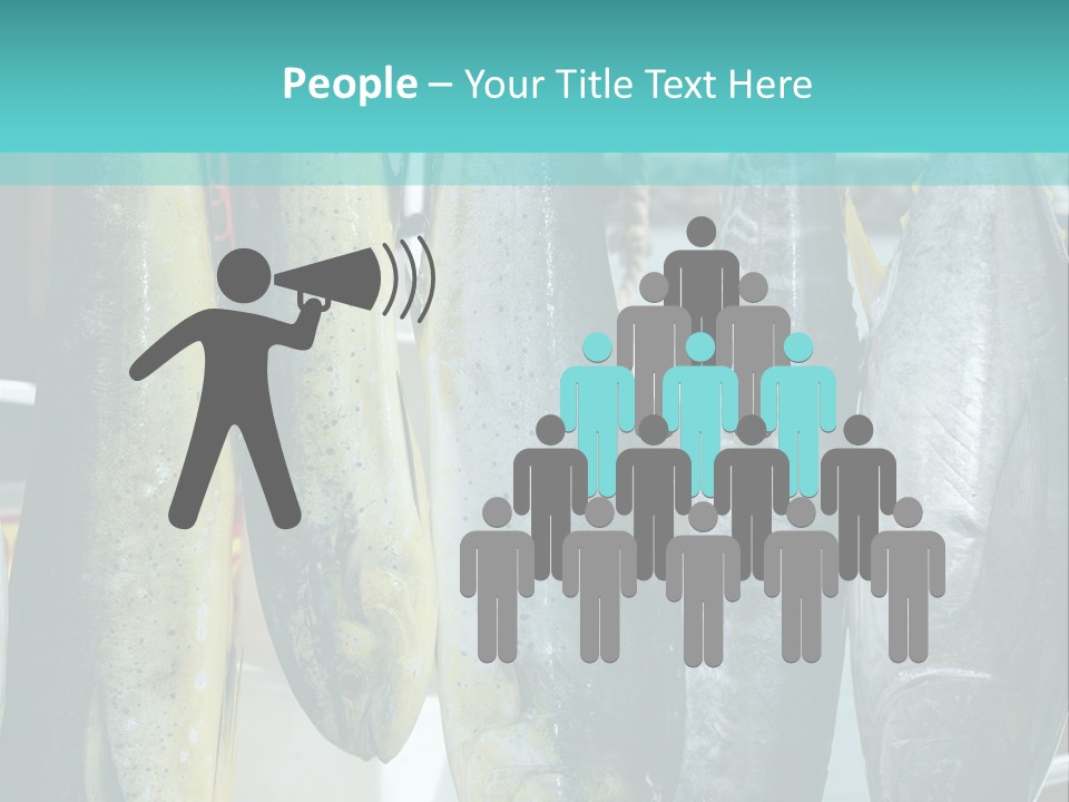 Rainbow Yellowtail Elagatis Bipinnulata Pelagic PowerPoint Template