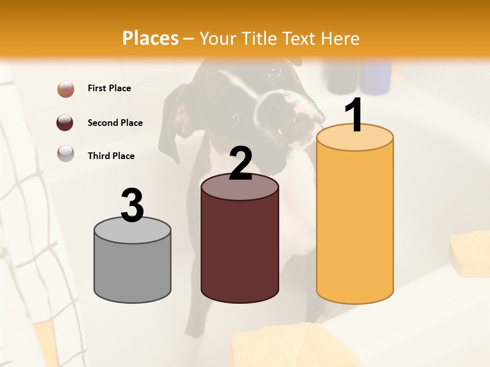 A Brown And White Dog Sitting In A Bath Tub PowerPoint Template