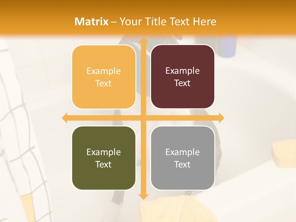 A Brown And White Dog Sitting In A Bath Tub PowerPoint Template