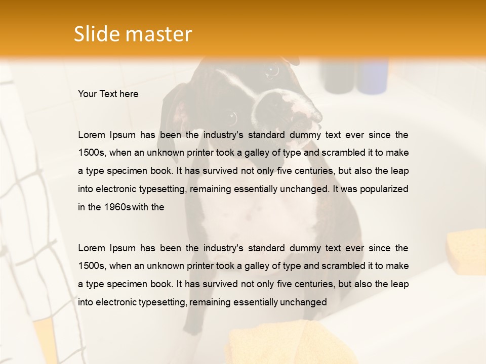 A Brown And White Dog Sitting In A Bath Tub PowerPoint Template