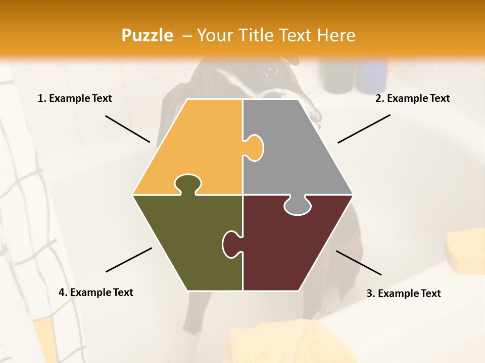 A Brown And White Dog Sitting In A Bath Tub PowerPoint Template