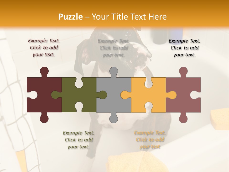 A Brown And White Dog Sitting In A Bath Tub PowerPoint Template