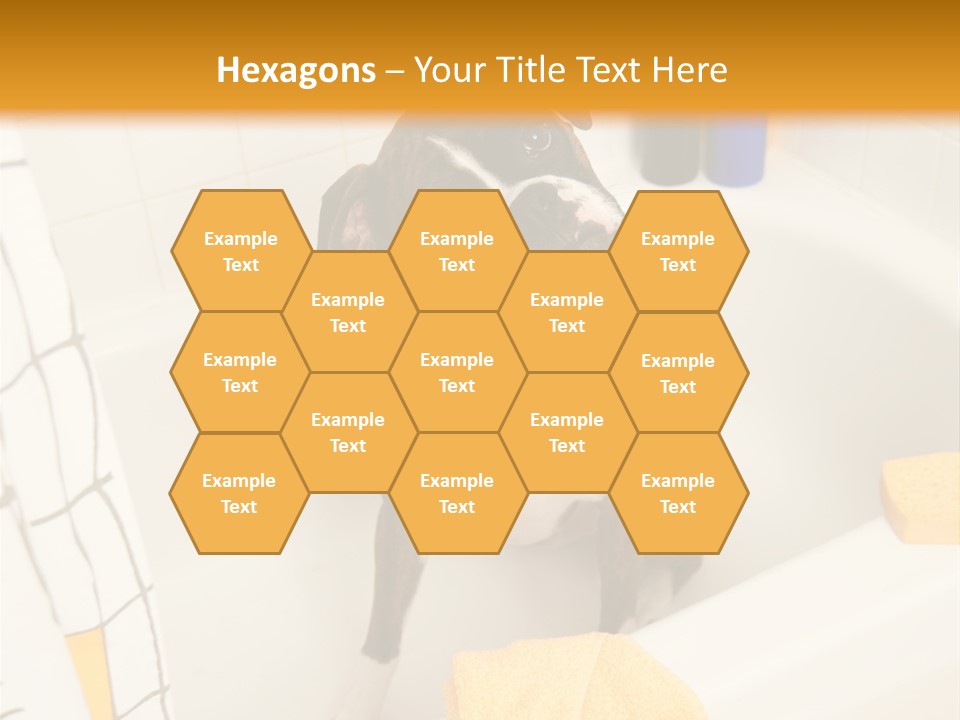 A Brown And White Dog Sitting In A Bath Tub PowerPoint Template