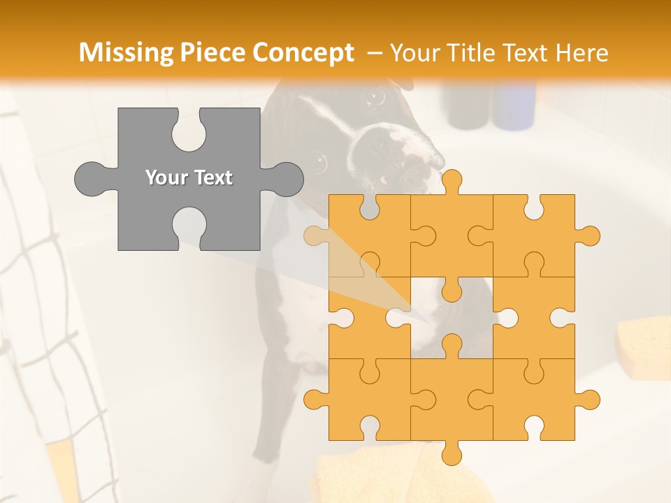 A Brown And White Dog Sitting In A Bath Tub PowerPoint Template