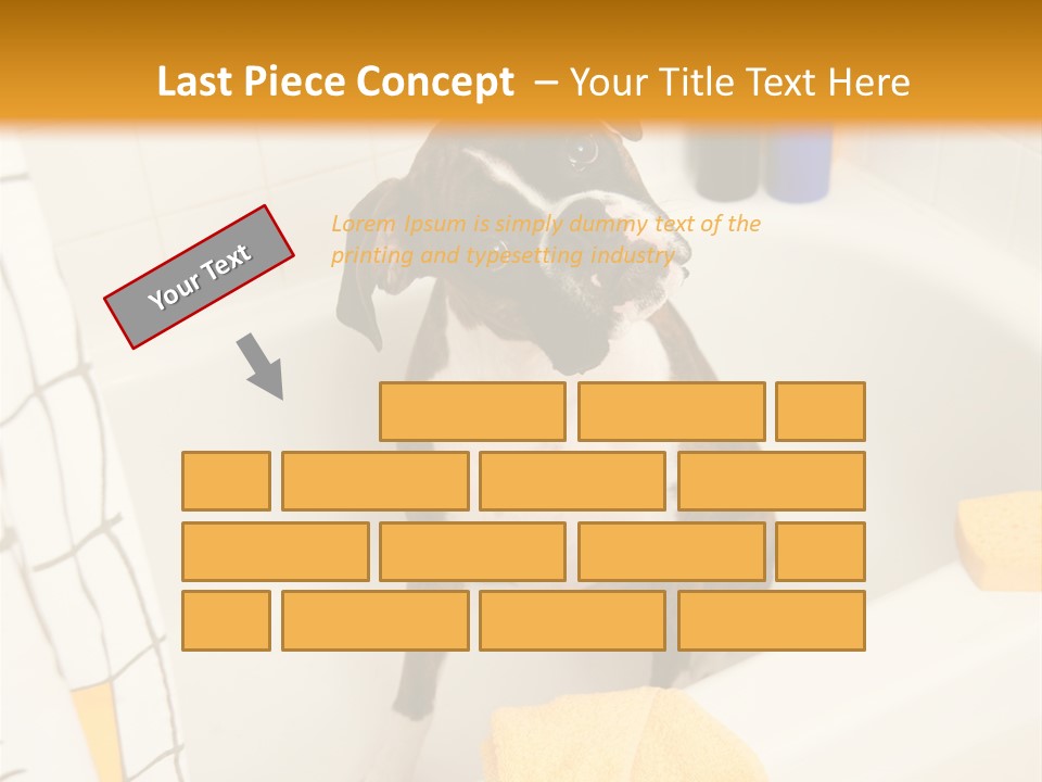 A Brown And White Dog Sitting In A Bath Tub PowerPoint Template